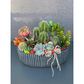 ÖZEL CANLI TERARYUM